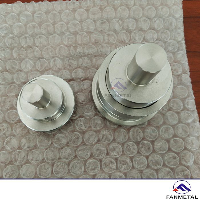 China Stellite 20 Valve Plug