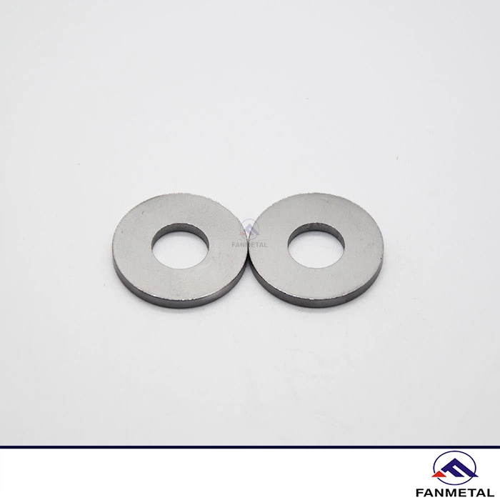 Tantalum Plain Washers